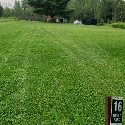 Tee 16