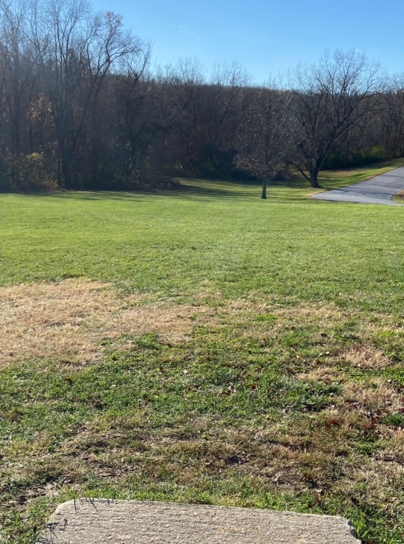 Longer left dogleg with obstructing trees in middle of fairway and O.B. Road skirting right boundary