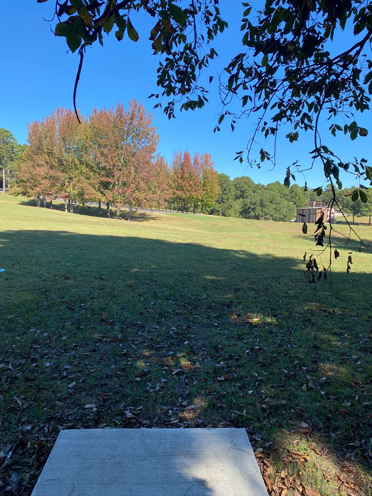Hole 15 tee pad (red/white)