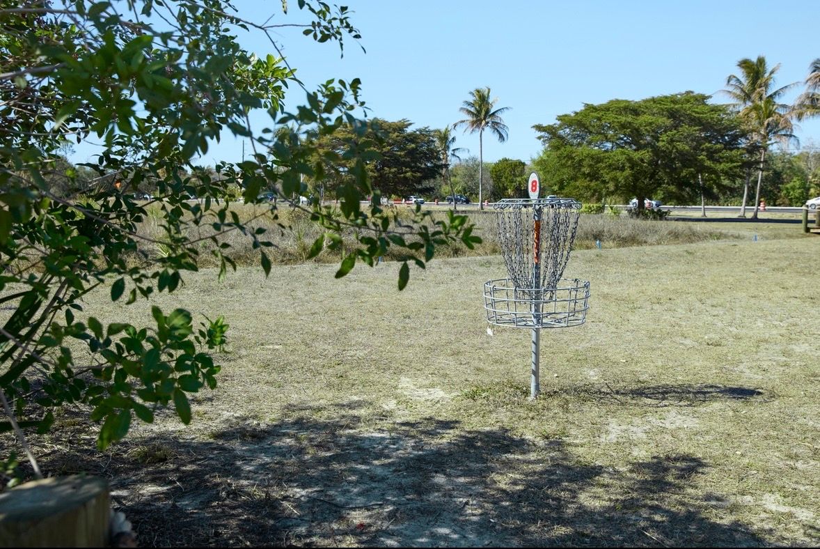 Hole 8 basket