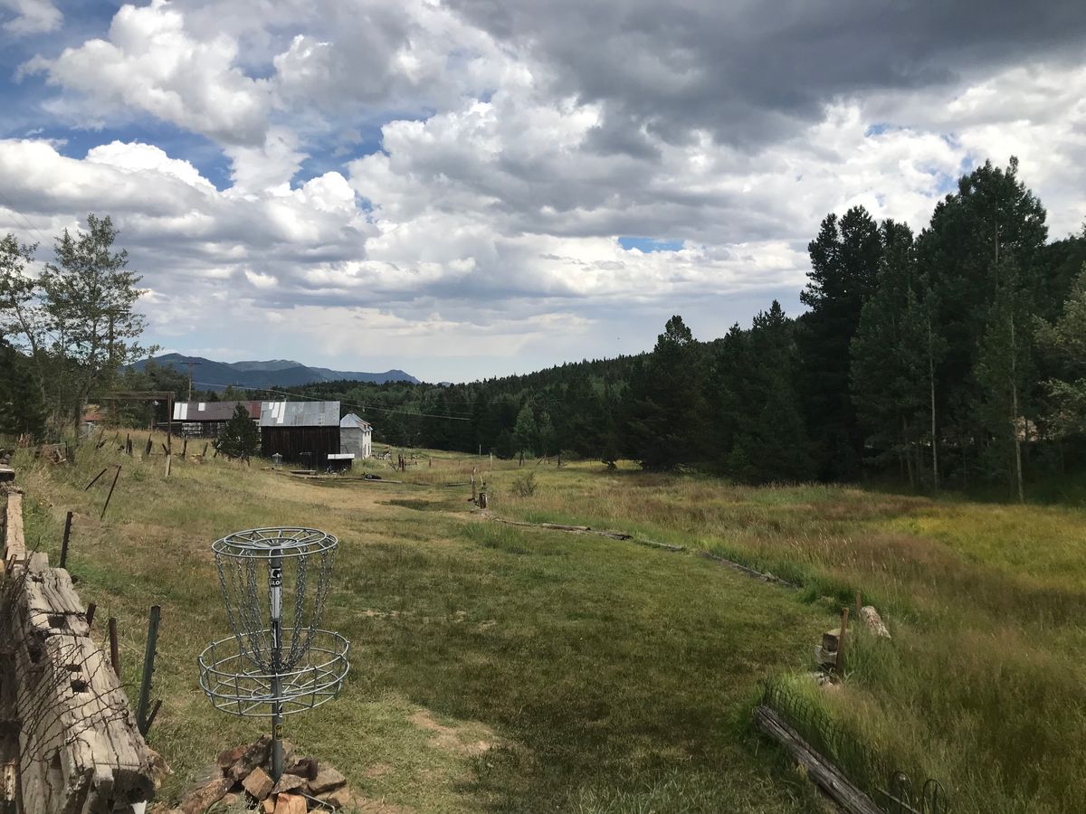 Hole 18 basket looking back towards tee pad