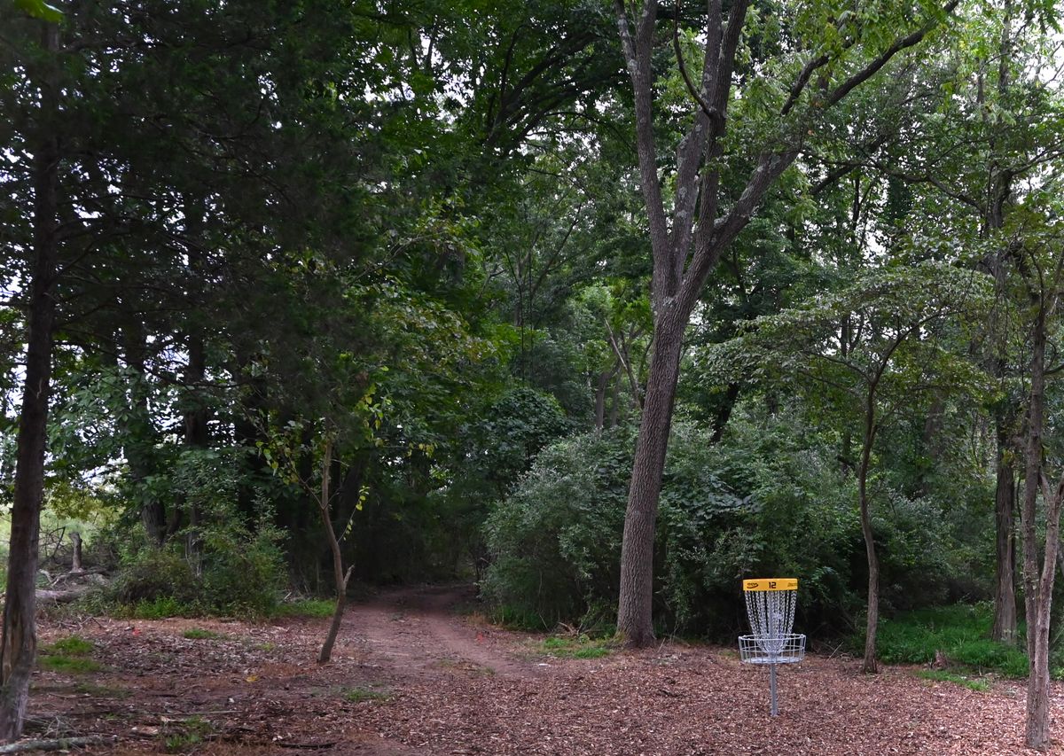 Hole 12's green