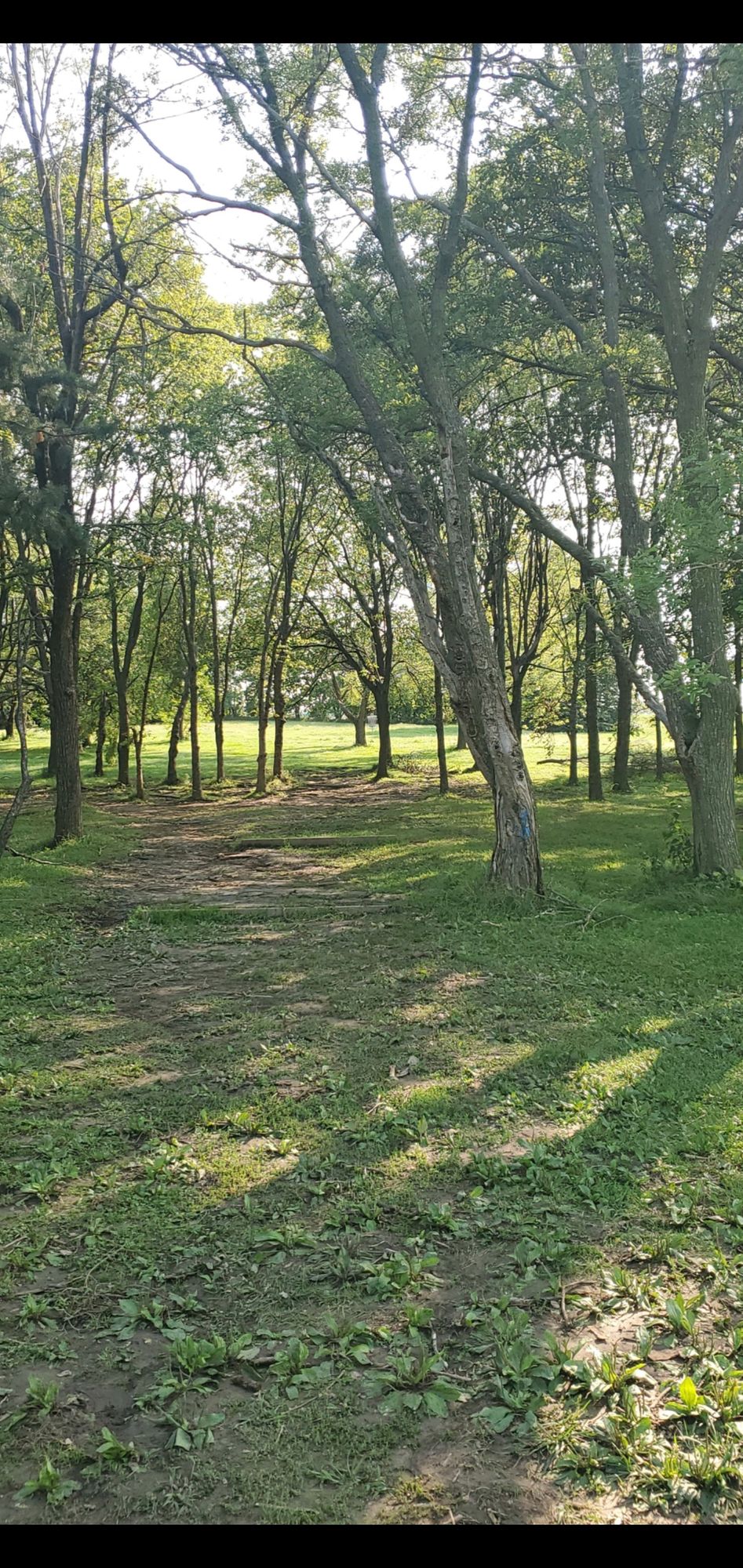 Hole 4