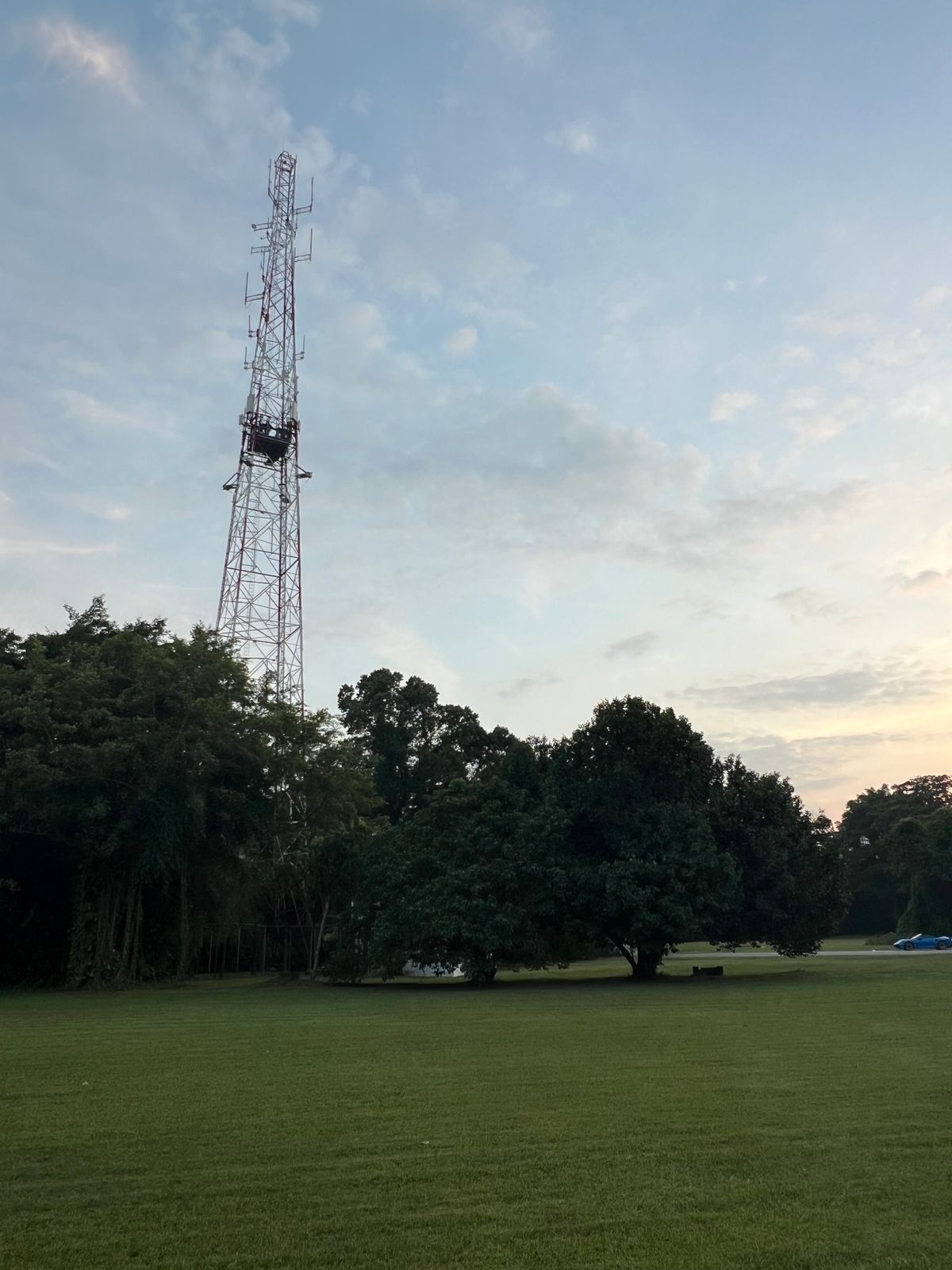 The Hole 18 basket is situated under the telecom tower.