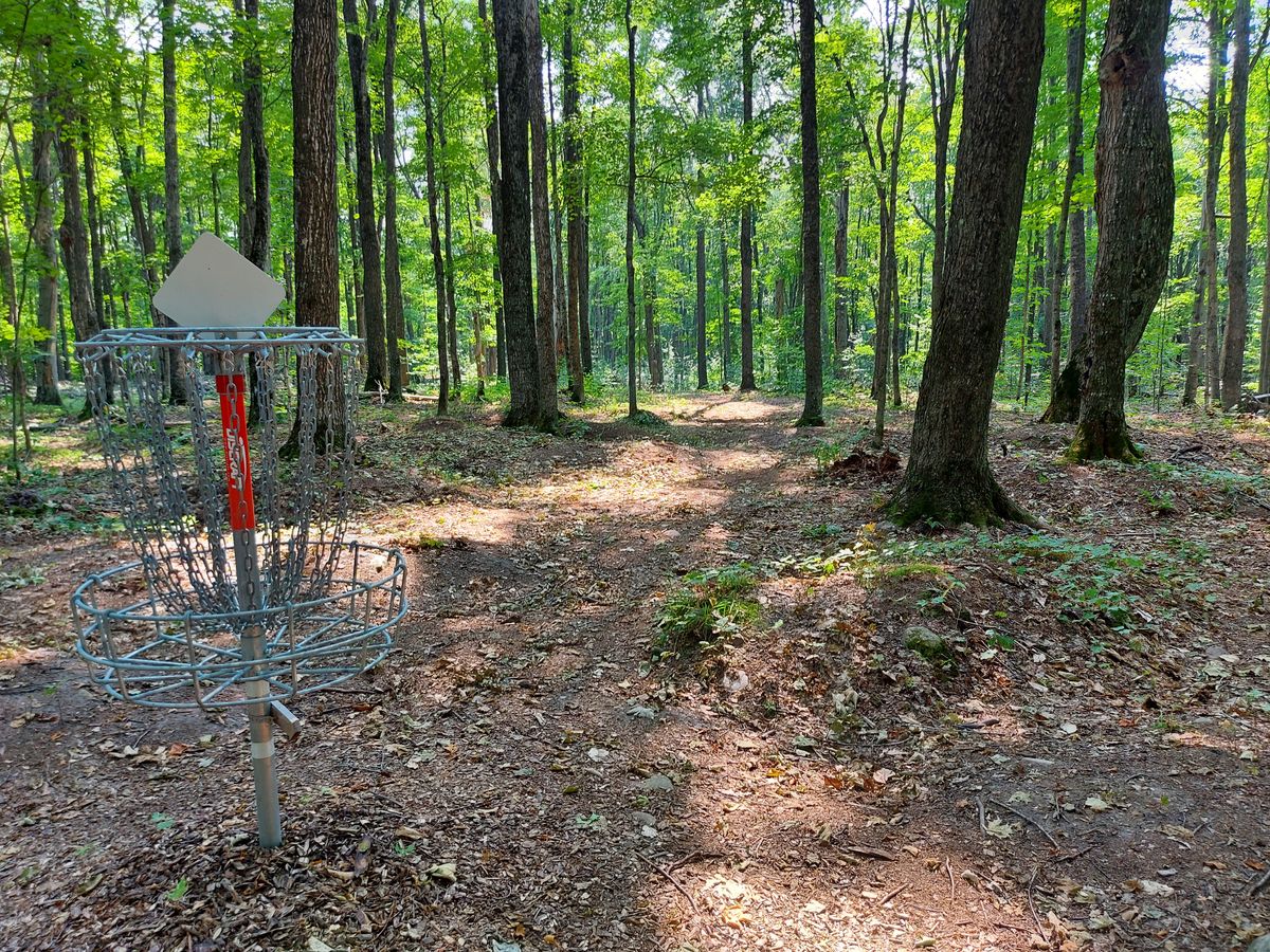 Reverse back up the fairway on hole 13.🪵🍃🍂🪵