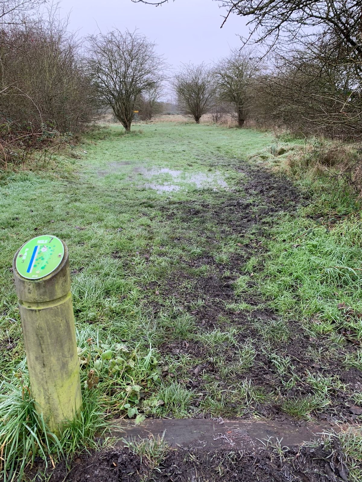 Hole 7