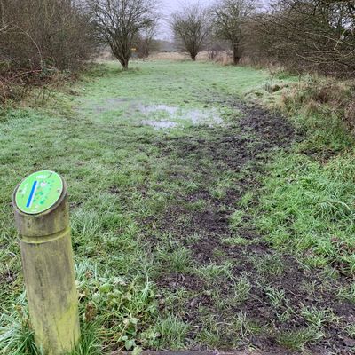 Hole 7