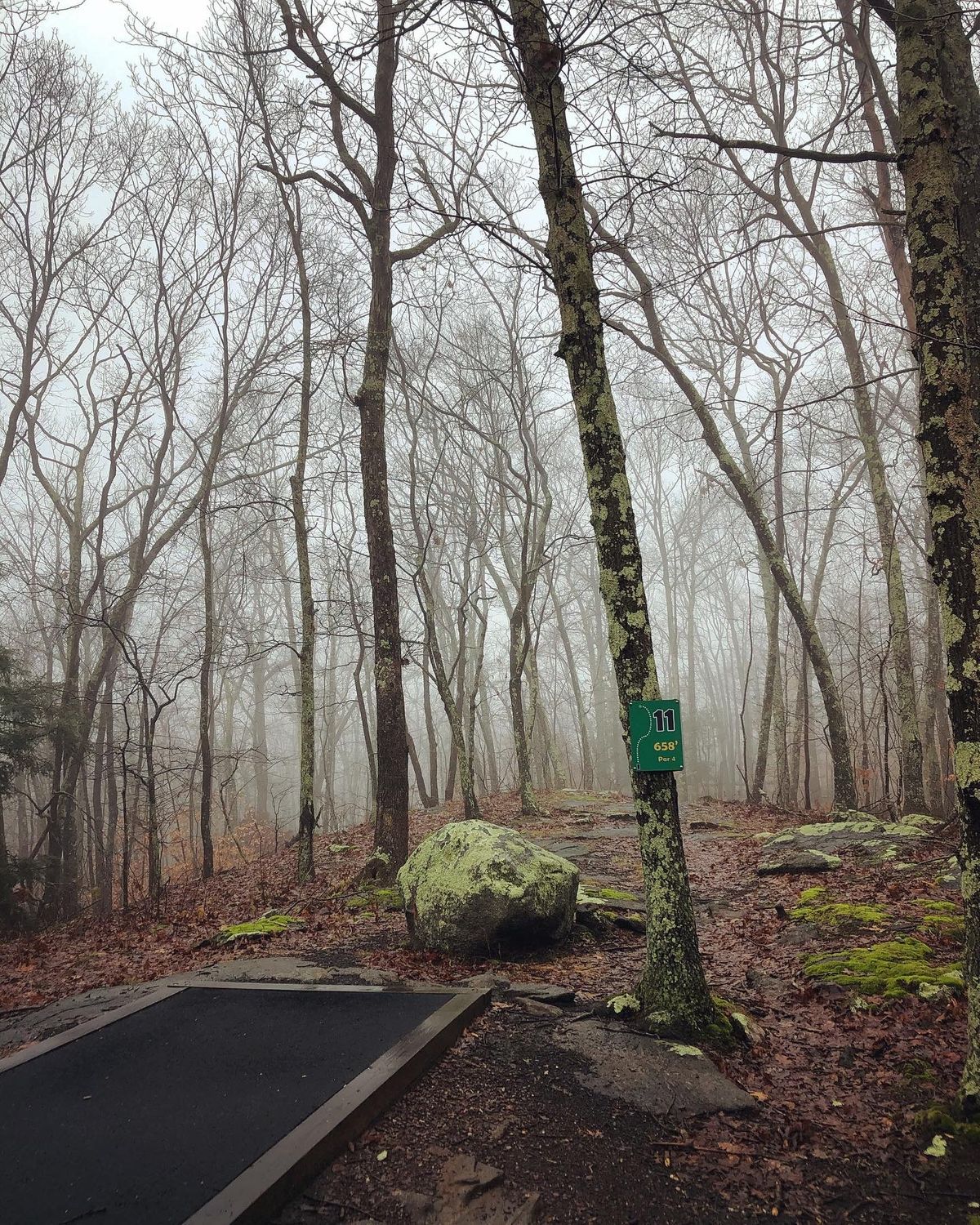 Hole 11