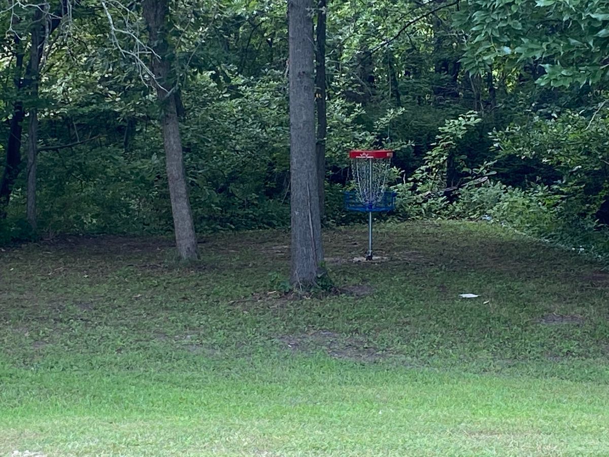 Up close to basket look into hole #12