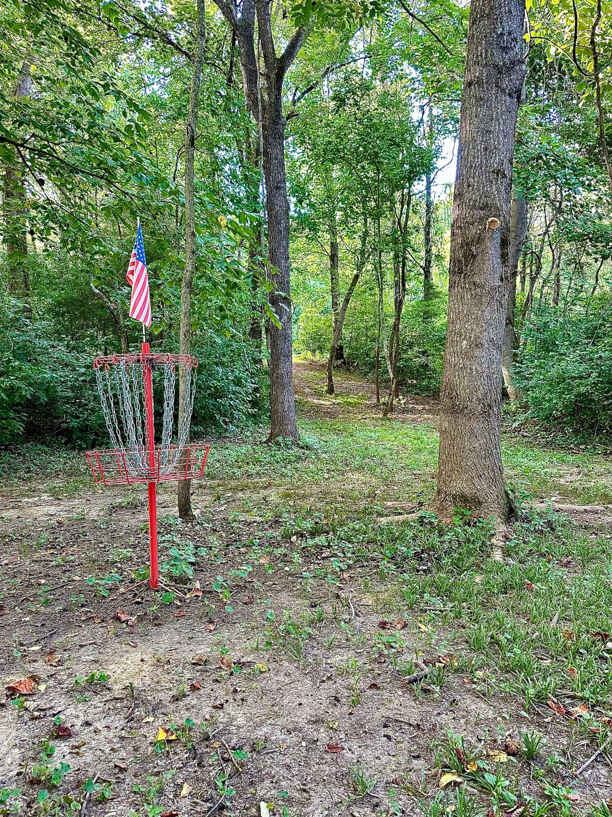 Hole 12 basket looking back up the hill to the pad