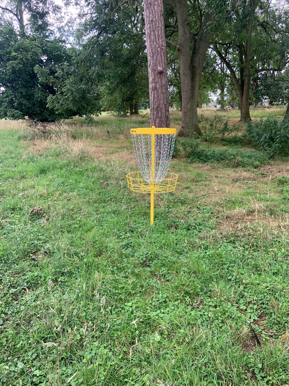 2nd hole