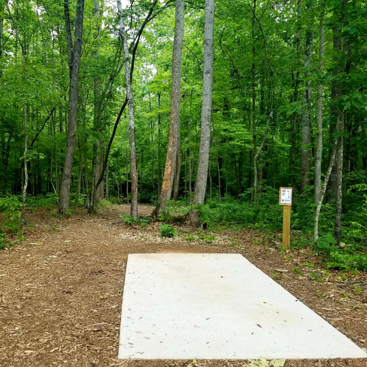 Hole 13