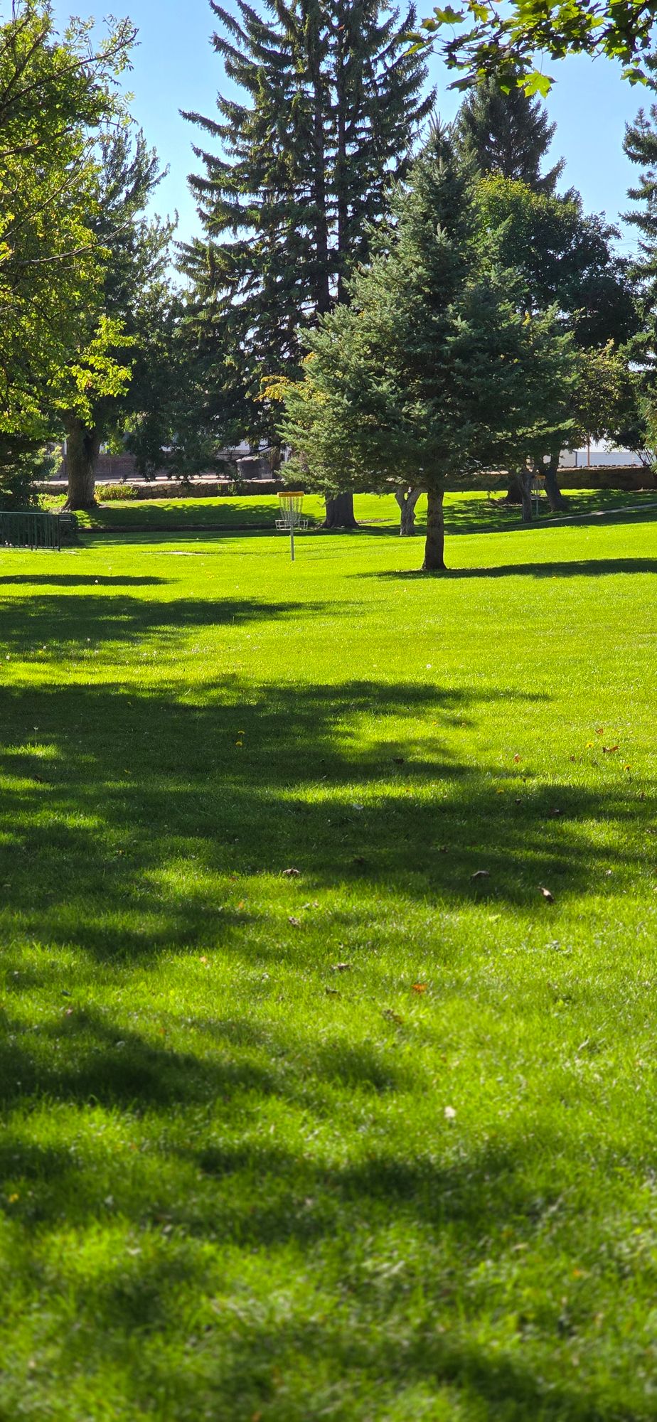Hole 6