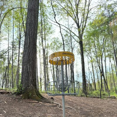 Hole 17
