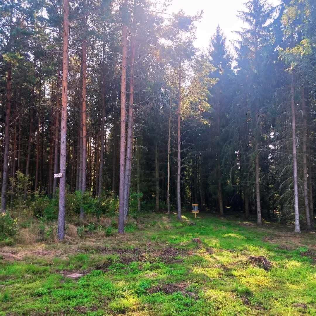 Hål 11
