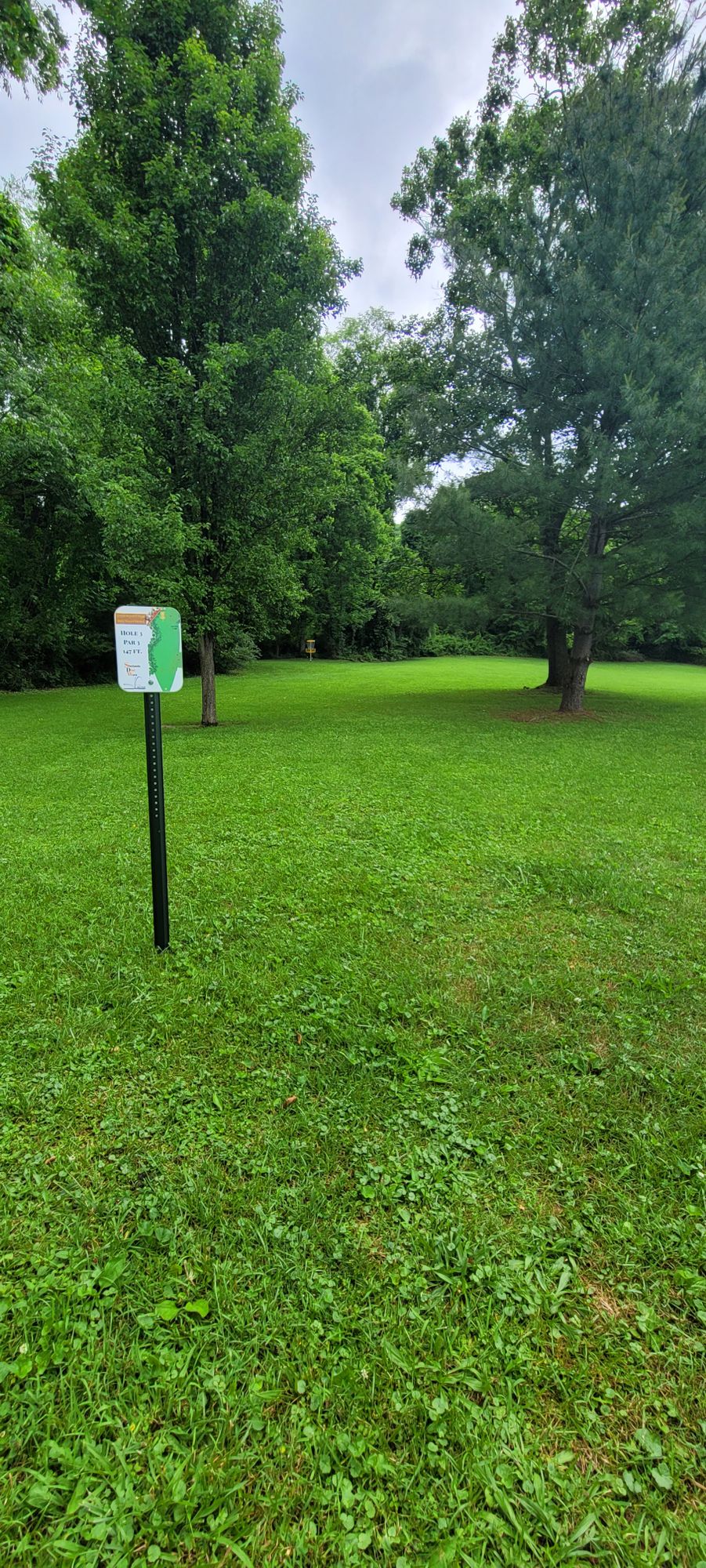Hole 3 Tee