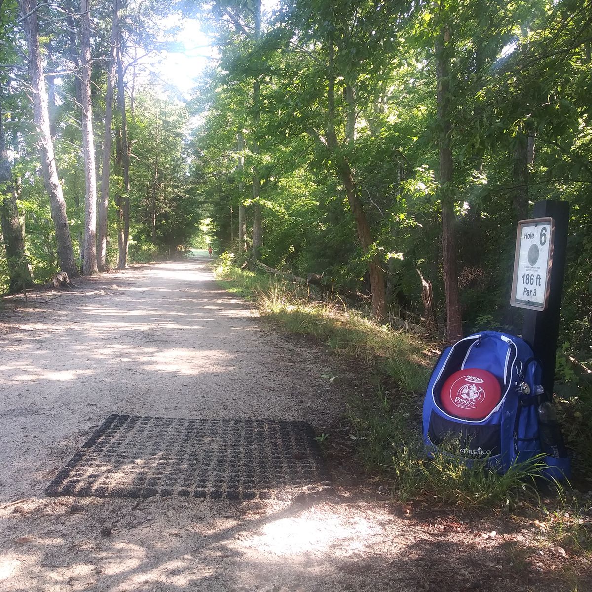 Tee pad for hole 6. Pond is on the left side of path, hole is to the right.