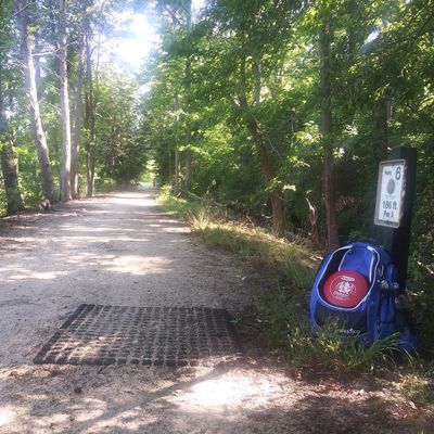 Tee pad for hole 6. Pond is on the left side of path, hole is to the right.