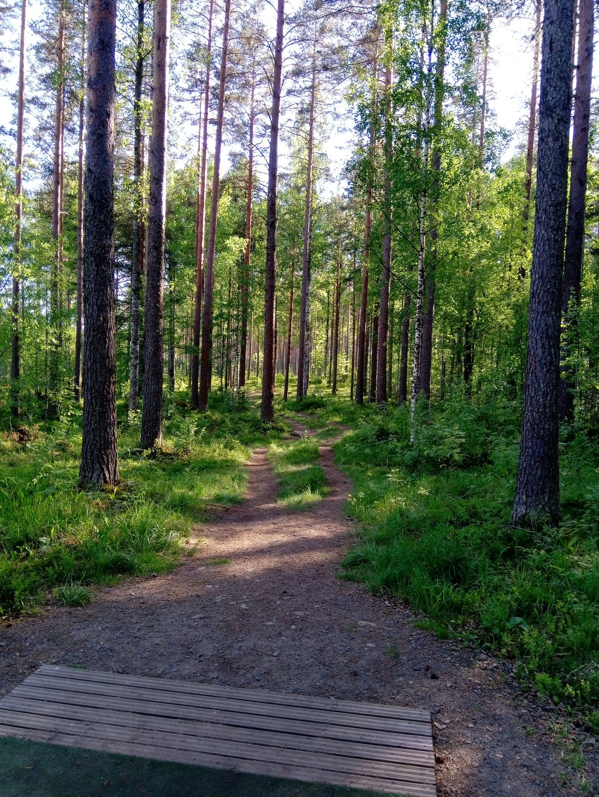Väylä #18 (4.6.2021).