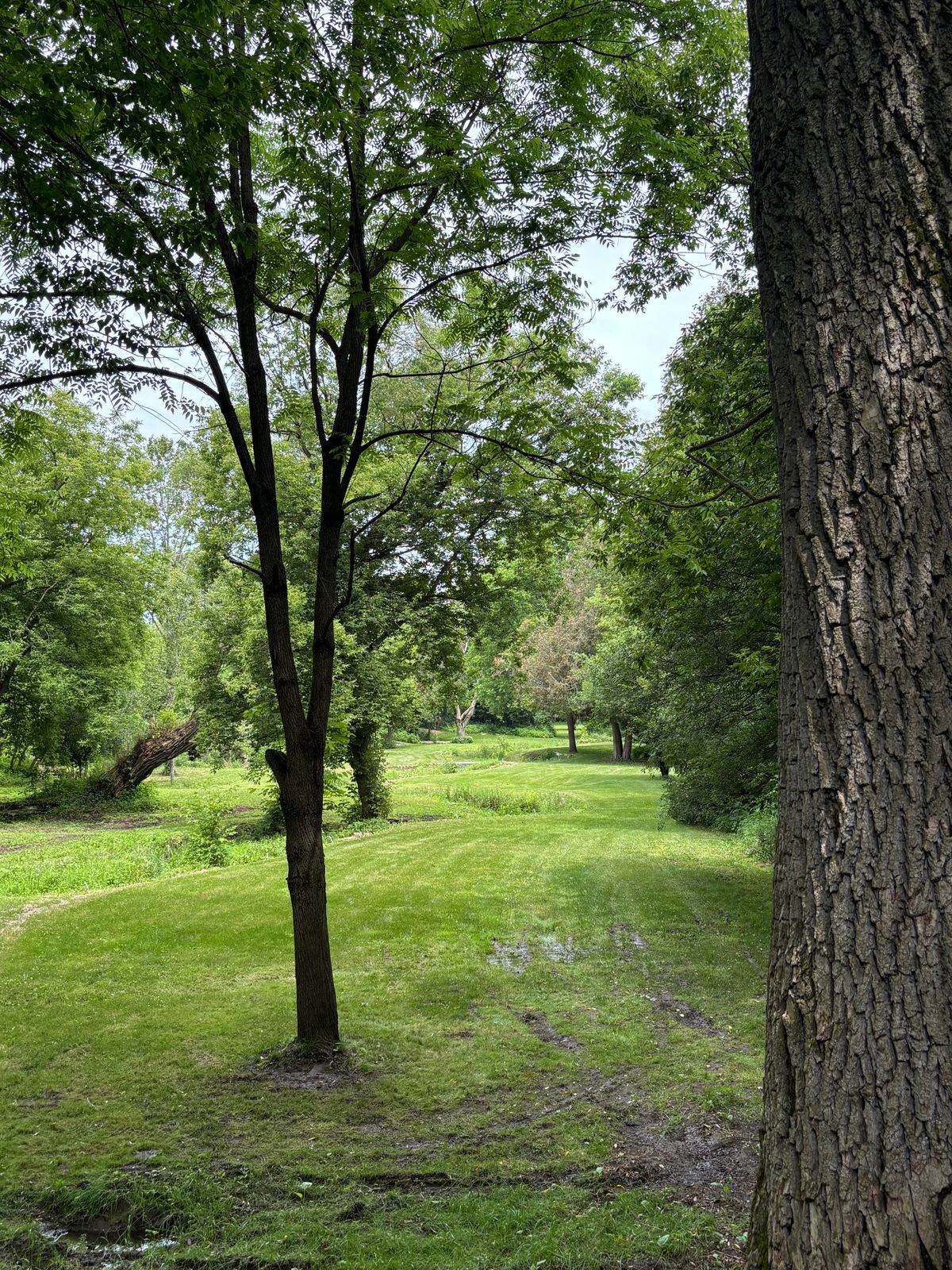 Hole 9