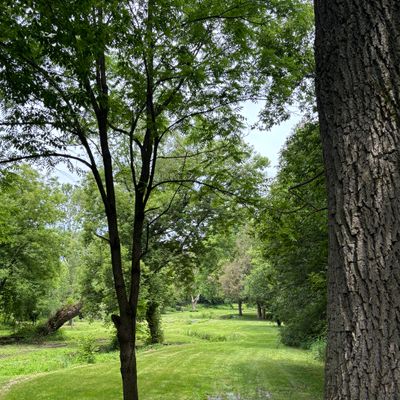 Hole 9