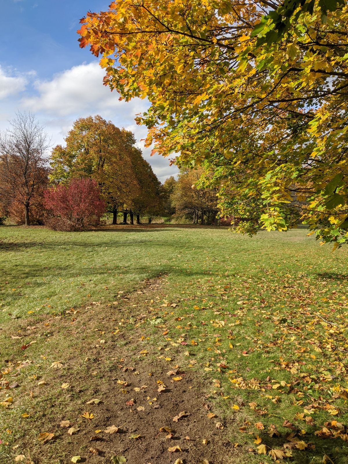Hole 4