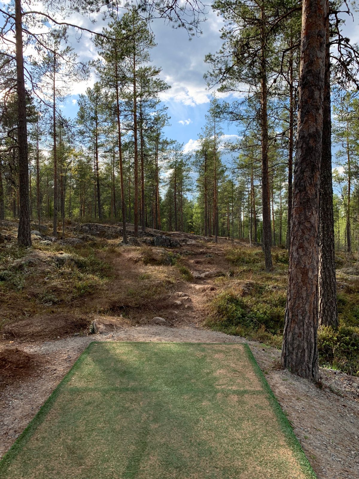 Hole 15.
