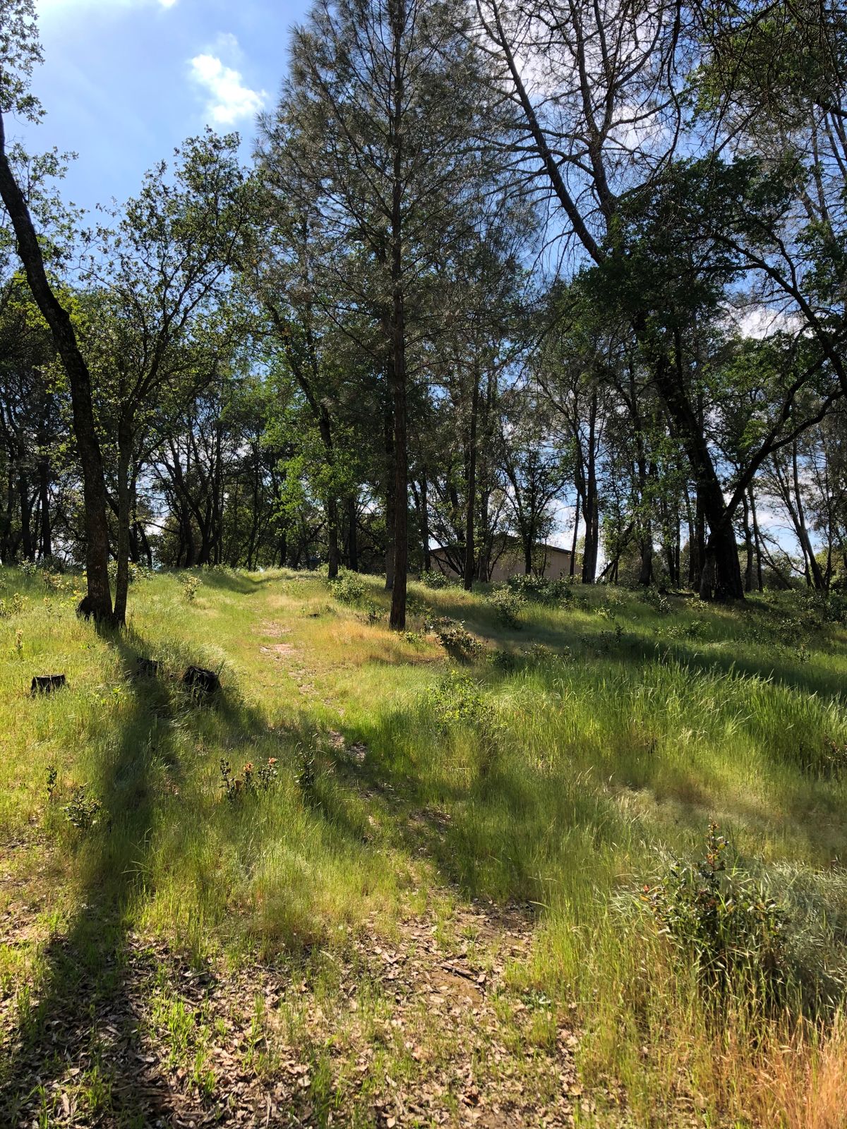 Hole 4 The Graveyard