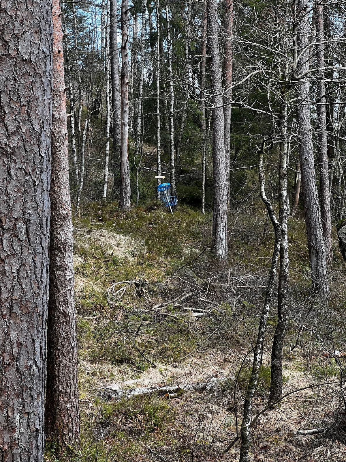 Mot kurv på hull 14. kurv er ikke festet i bakken enda.