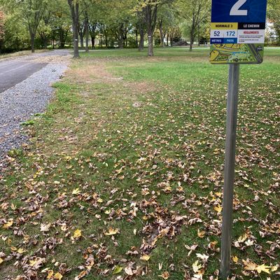 Départ #2, panier au bout du terrain avant chemin gravier