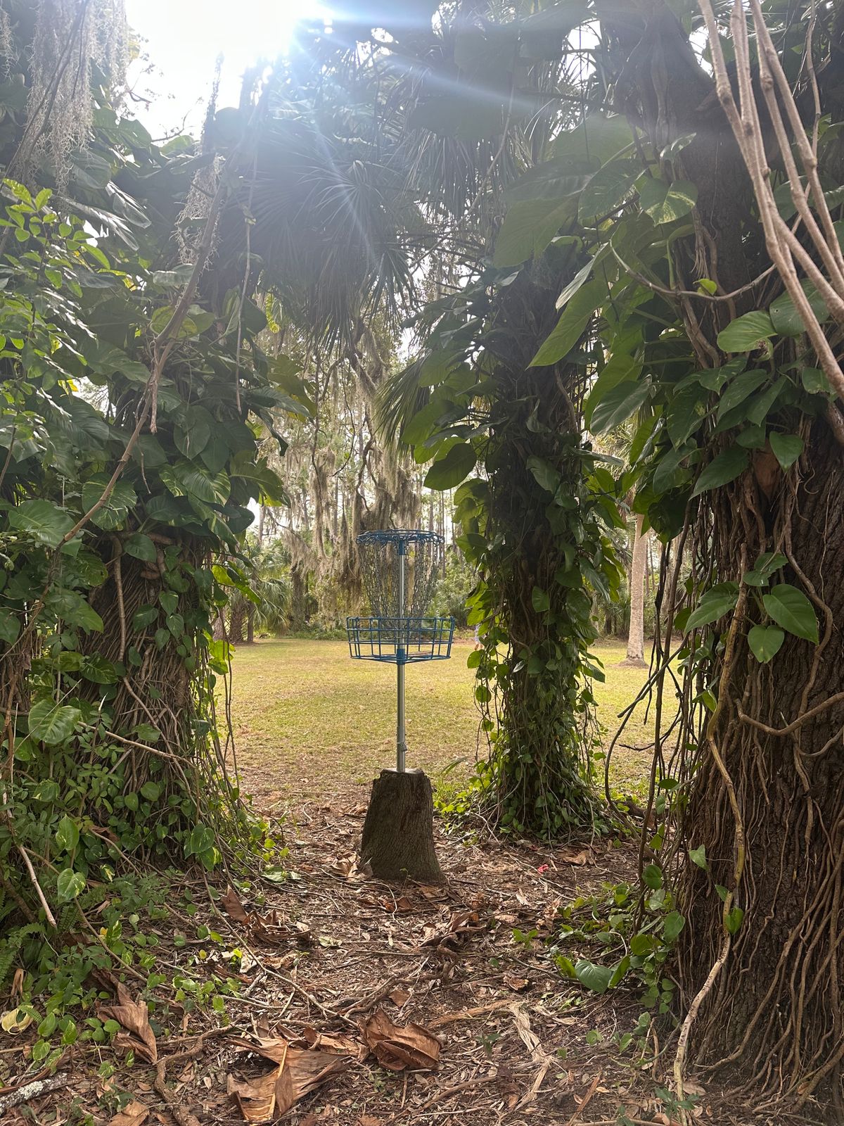Hole 2 looking back towards the pad