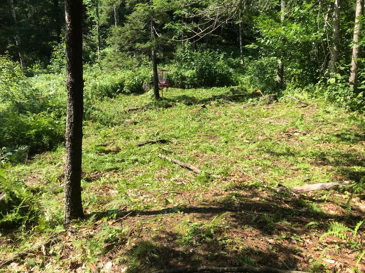 Hole 12 green