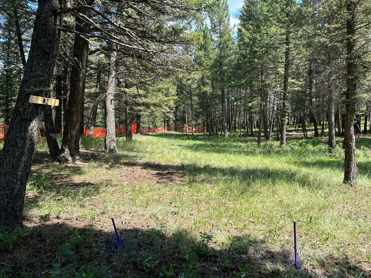Look from drop zone on hole 2