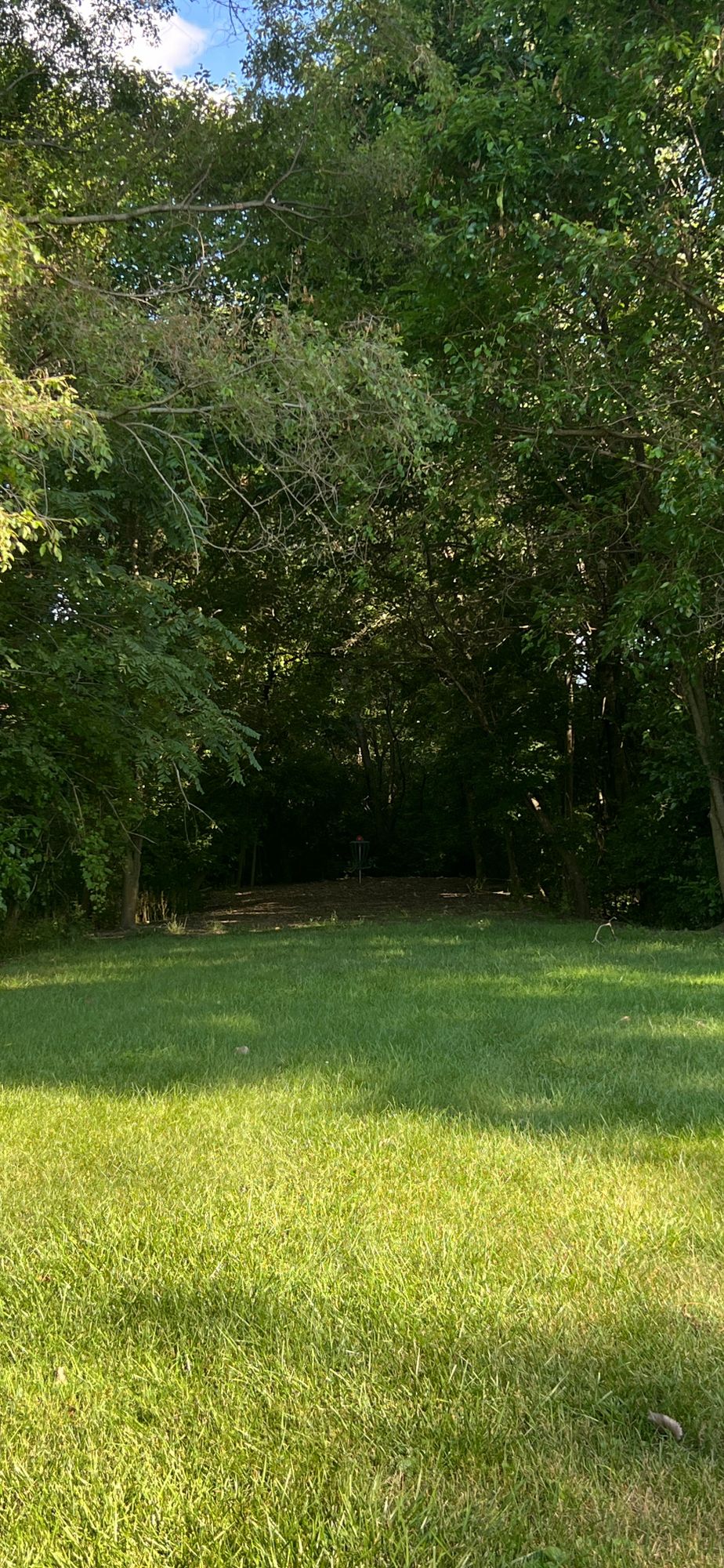 Hole 5 - Tucked in - June 2024