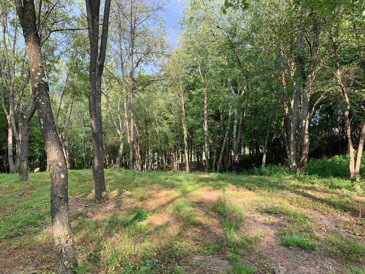 Hole 6 fairway shot