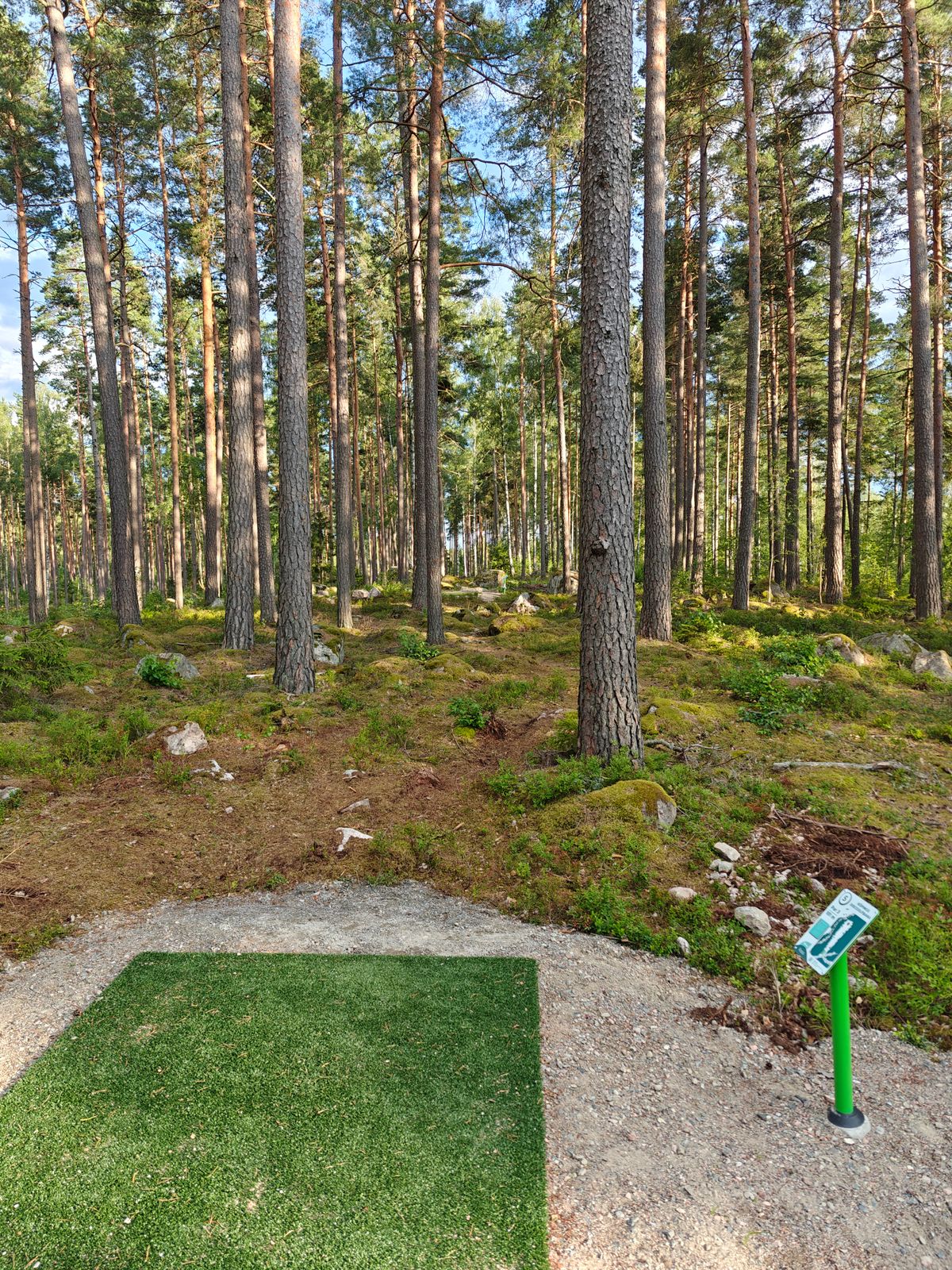 Hål 5