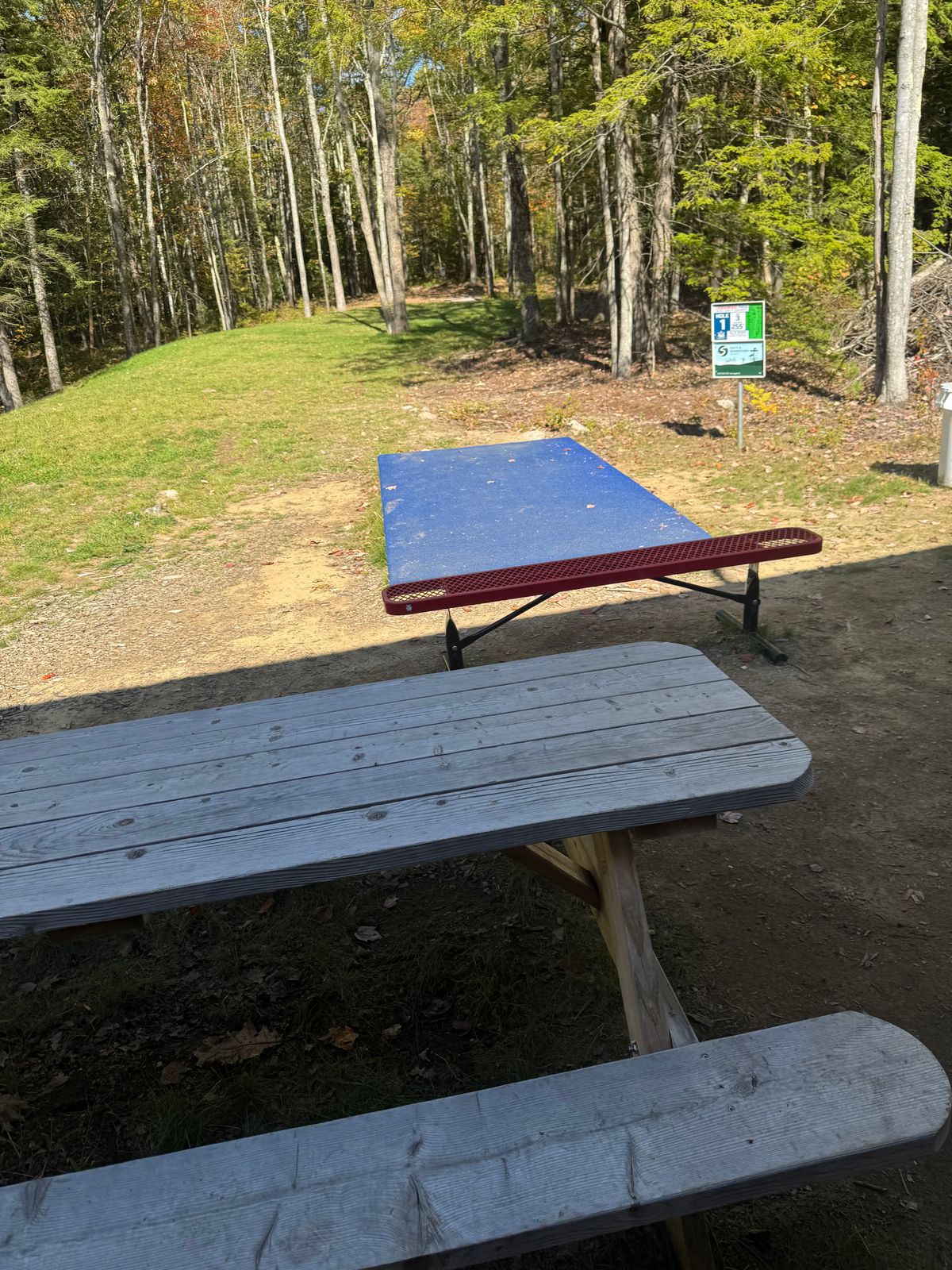 most if not all holes include a beautiful tea pad. Purpose built bench. Great signage,