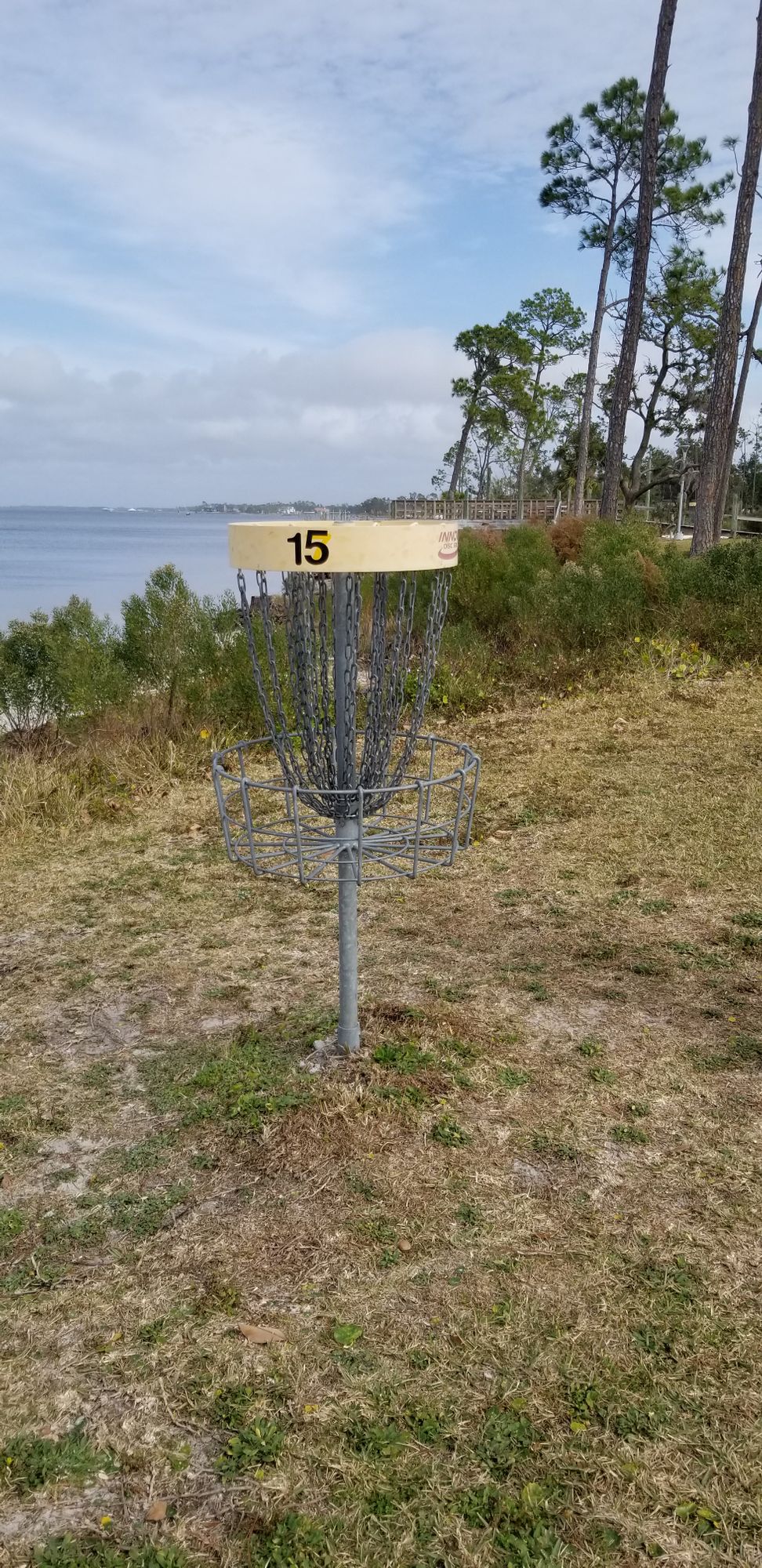 Hole 15 Pin