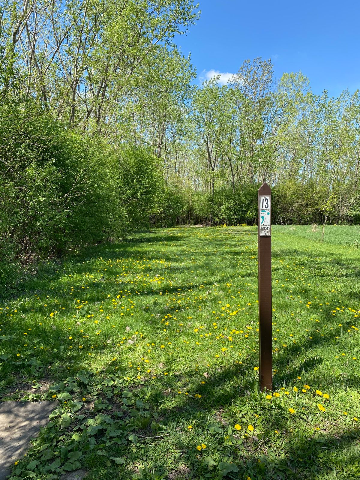 13, other open tee shot