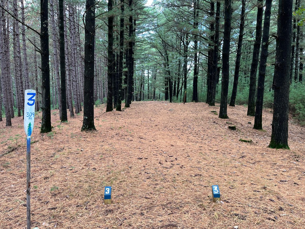 Hole 3 tee. Hidden basket with flag to denote location.