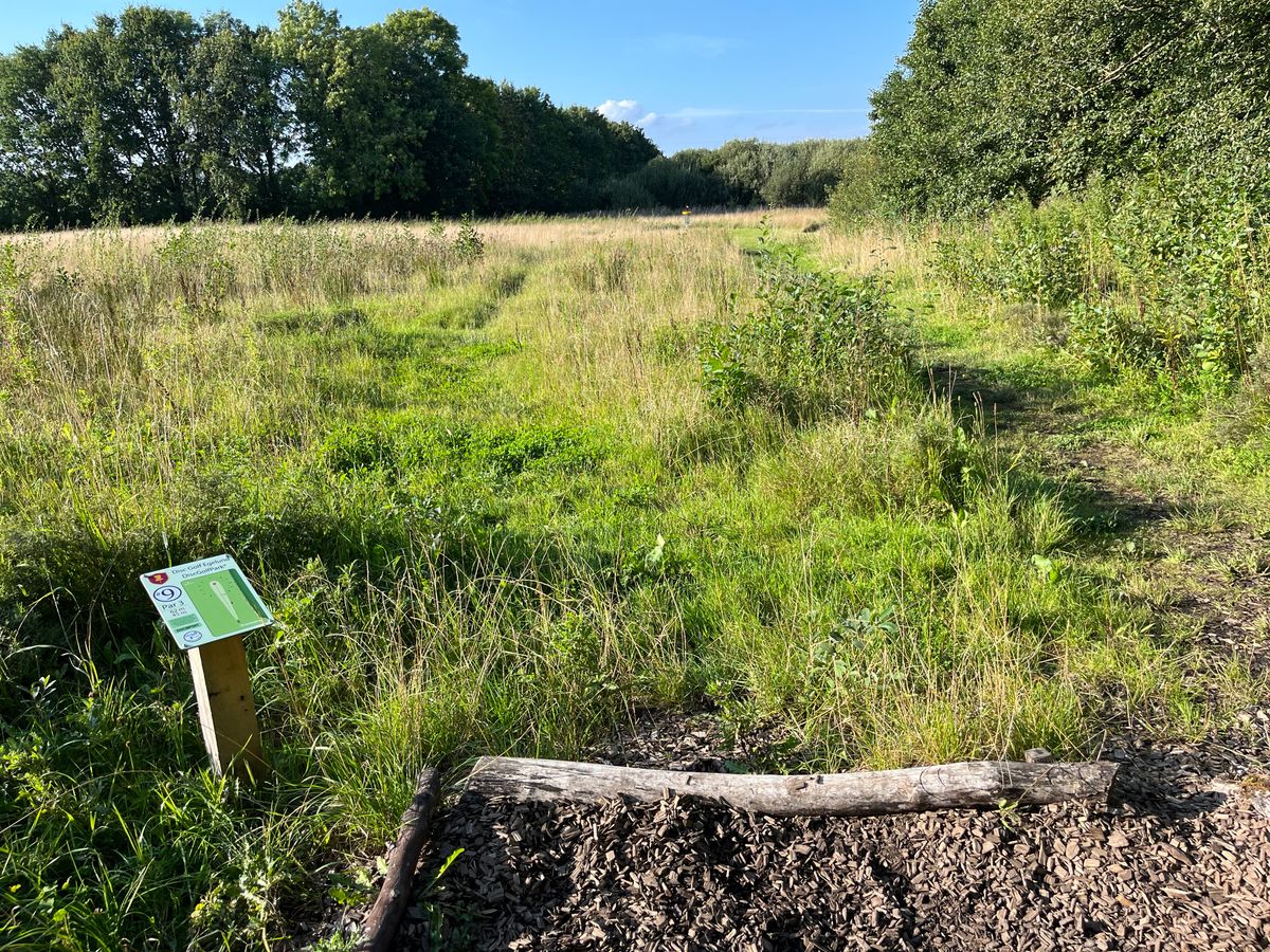 Hole 9