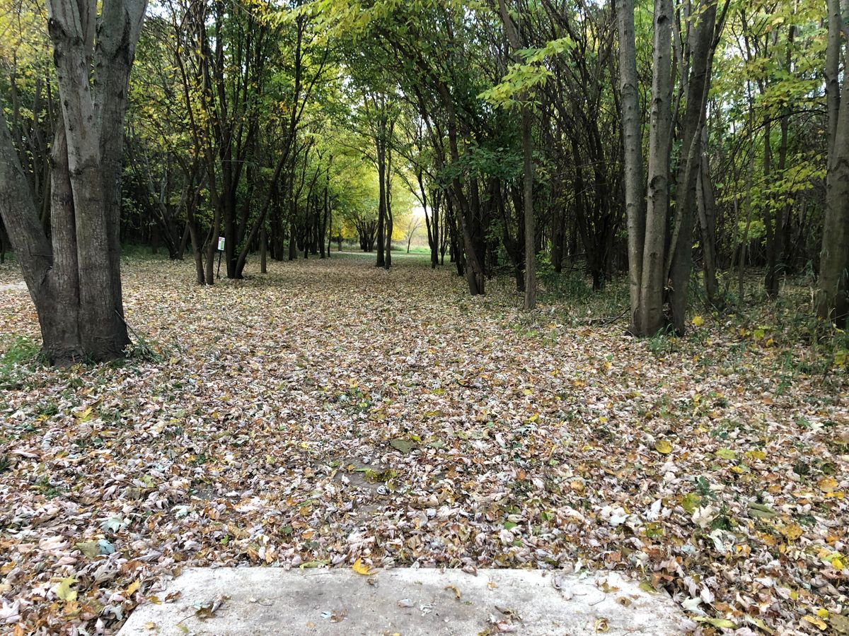 Hole 7 Blue Tee 2022