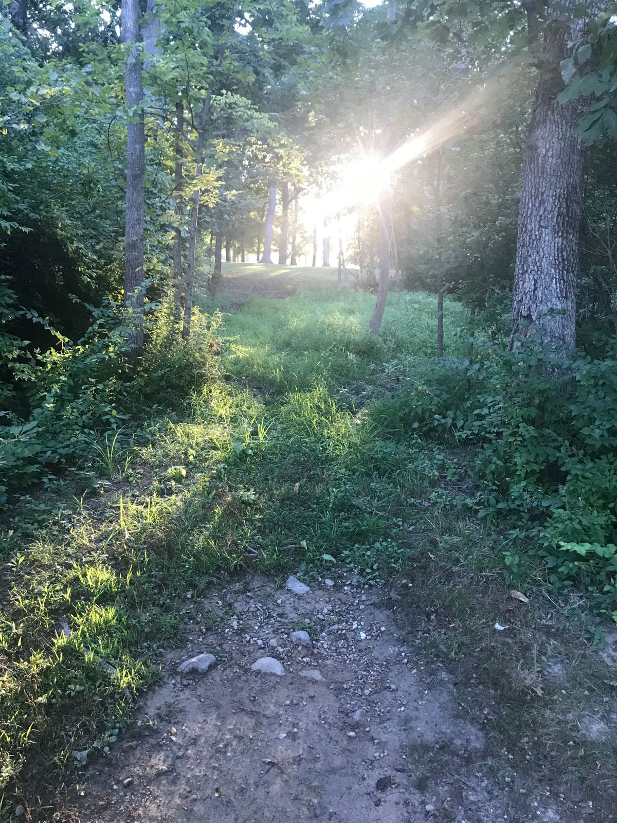 Hole 5 tee (no pad)
