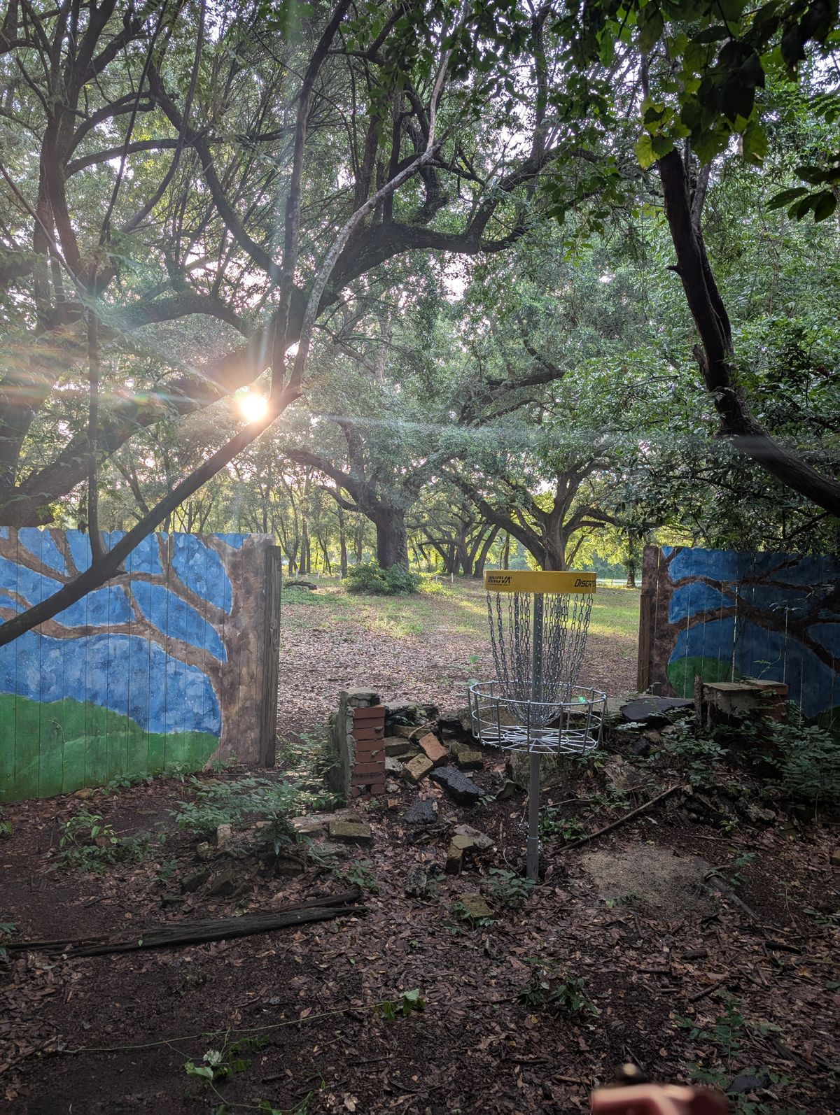 Behind the basket of hole 18