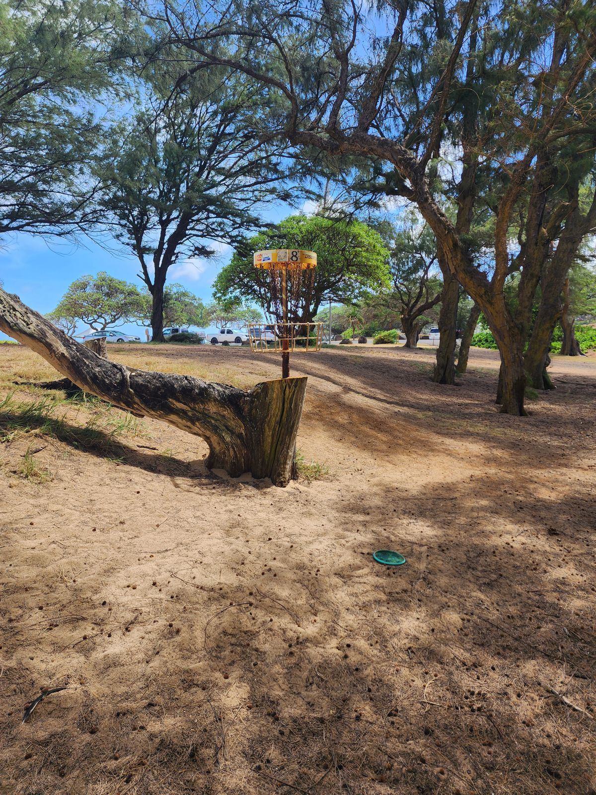 Basket on 8