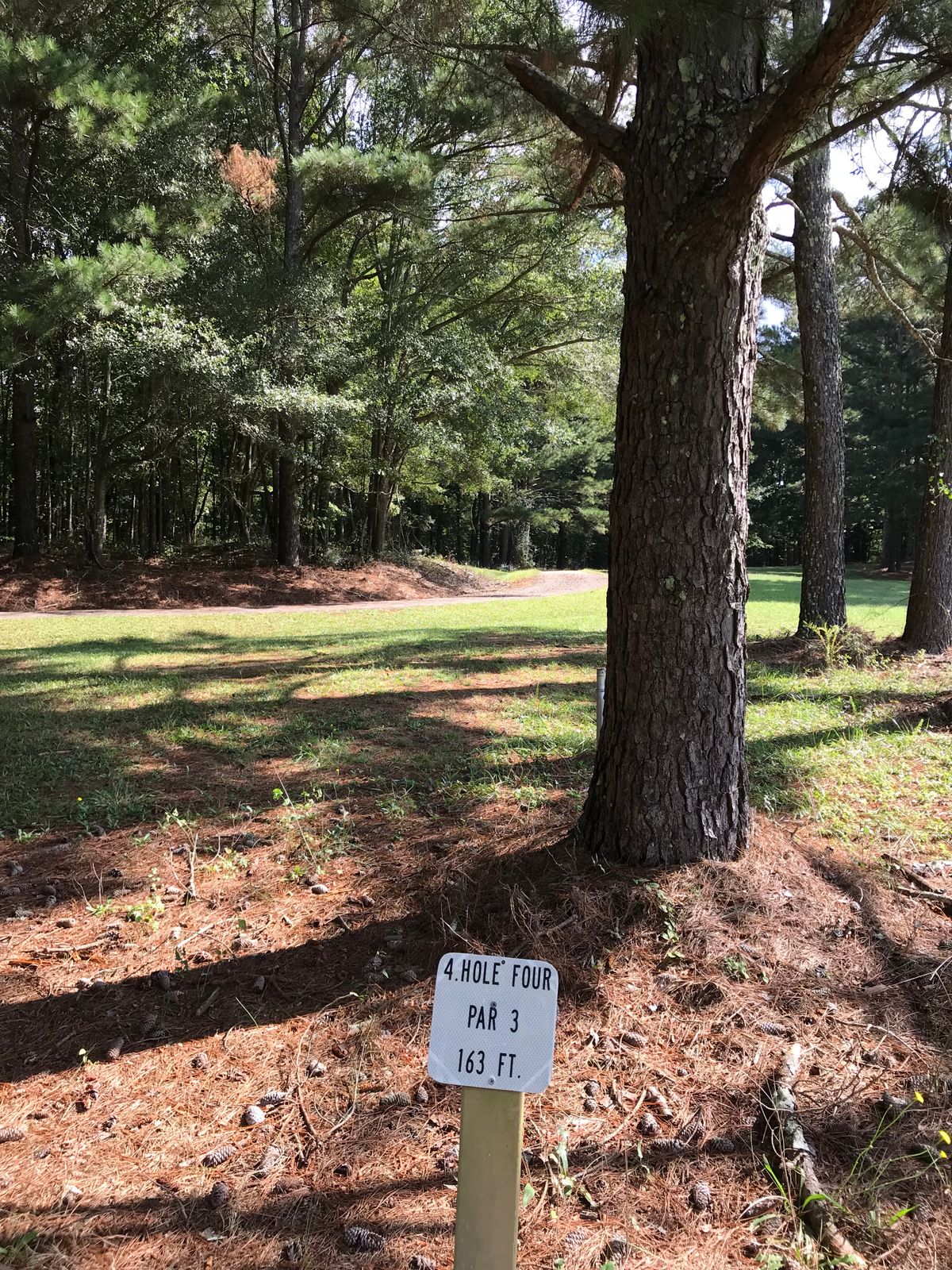 Hole 4 has a low tree canopy close to the basket. A straight shot with a quick left drop is perfect.