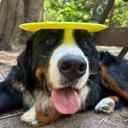User avatar image