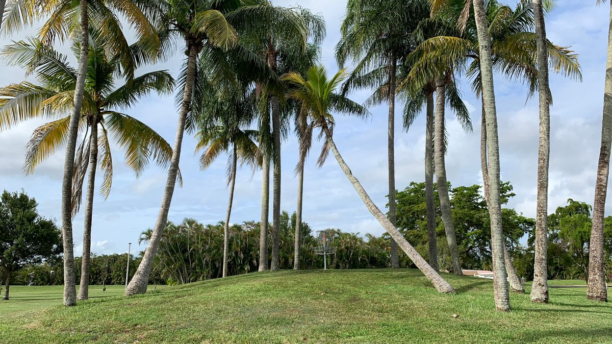 Hole 1