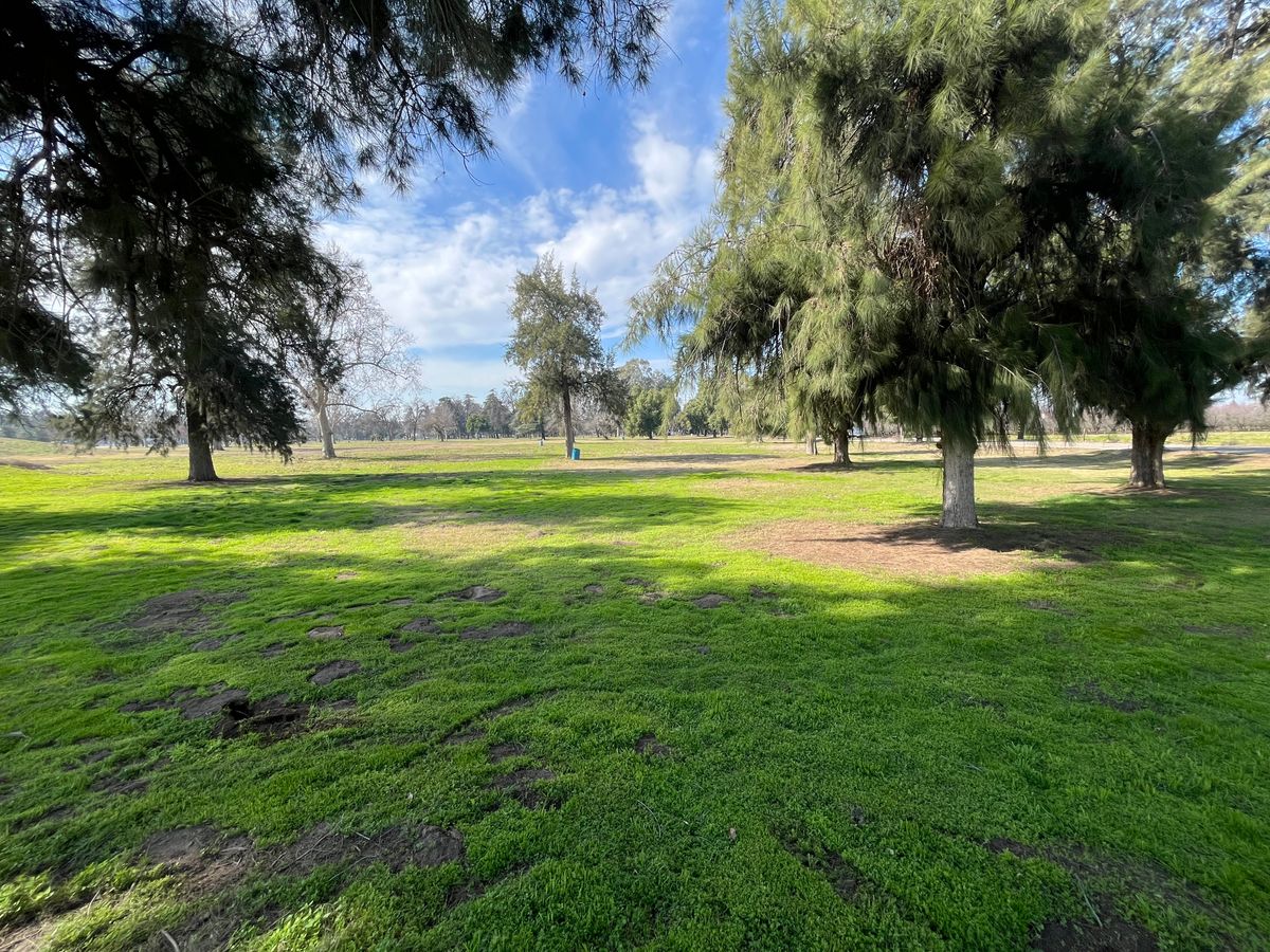 Looking back at 3’s Tee Box