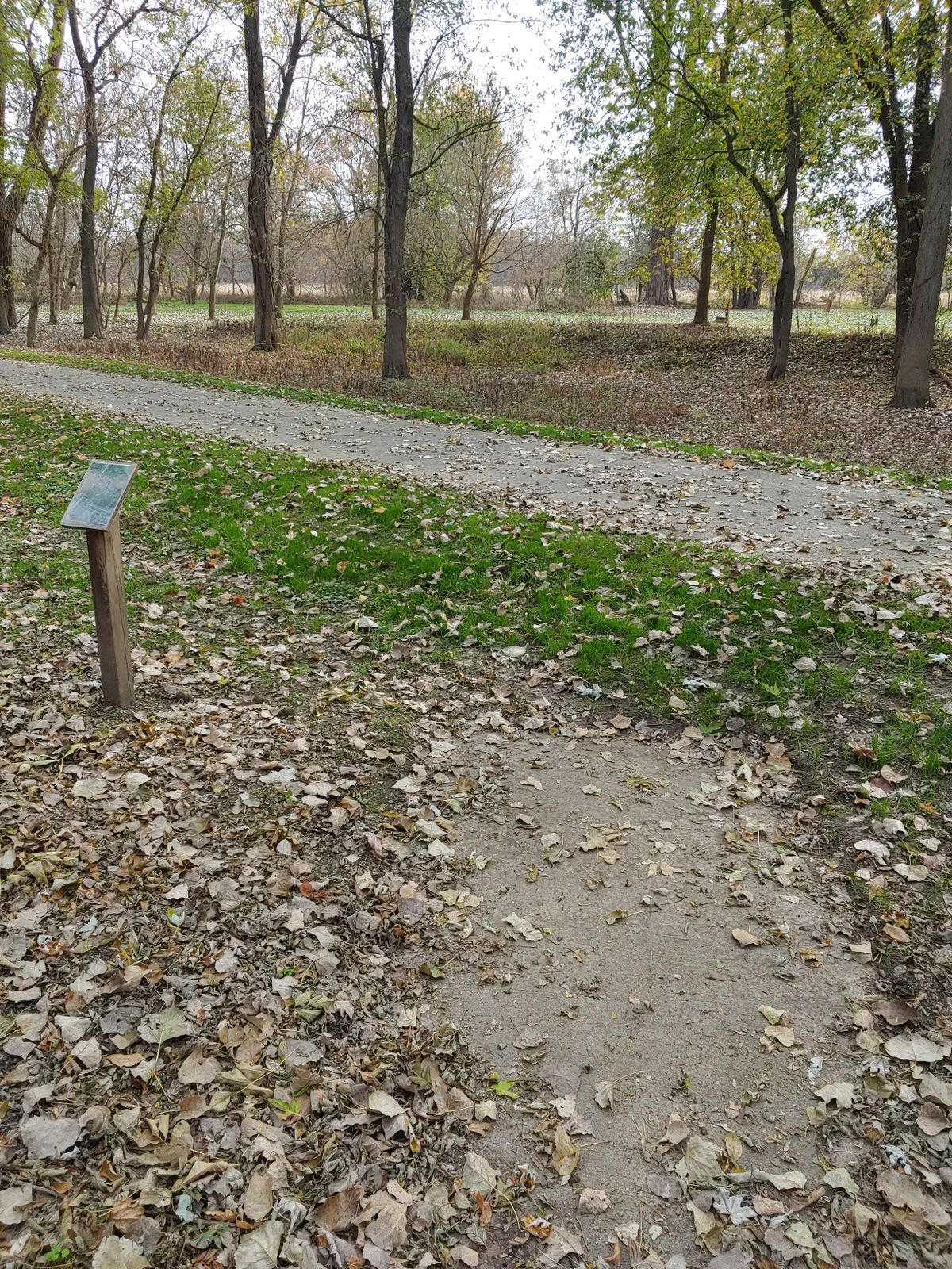 #10 also throws across the walking path